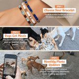 Bracelet Miyuki Oasis